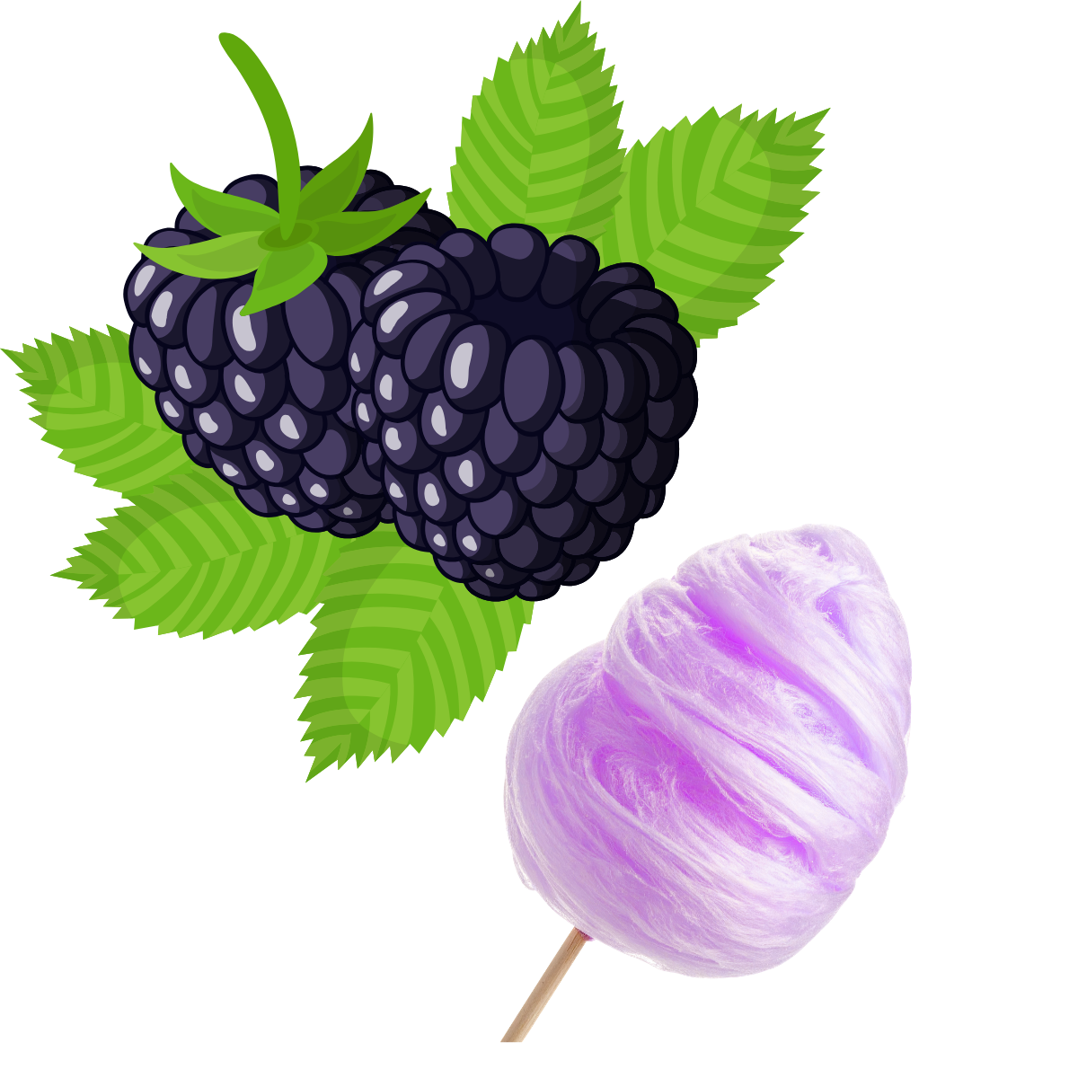 BLACK BERRY