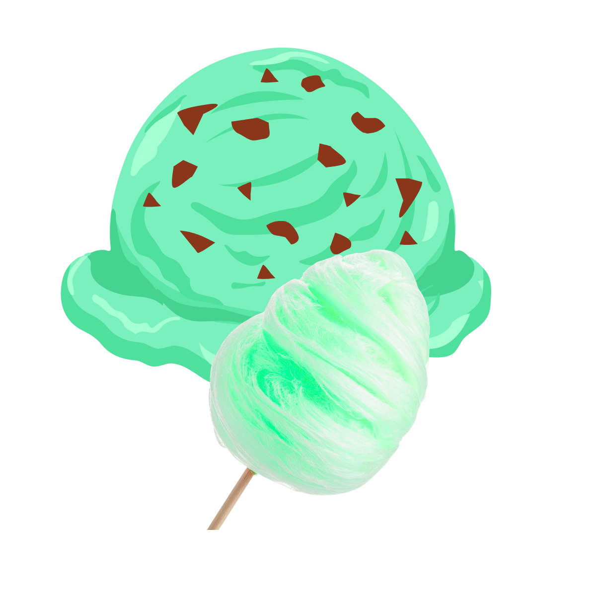MINT CHOCOLATE CHIP