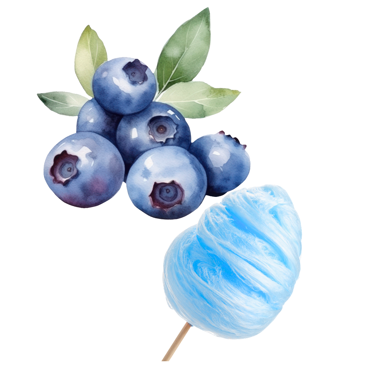 BLUEBERRY