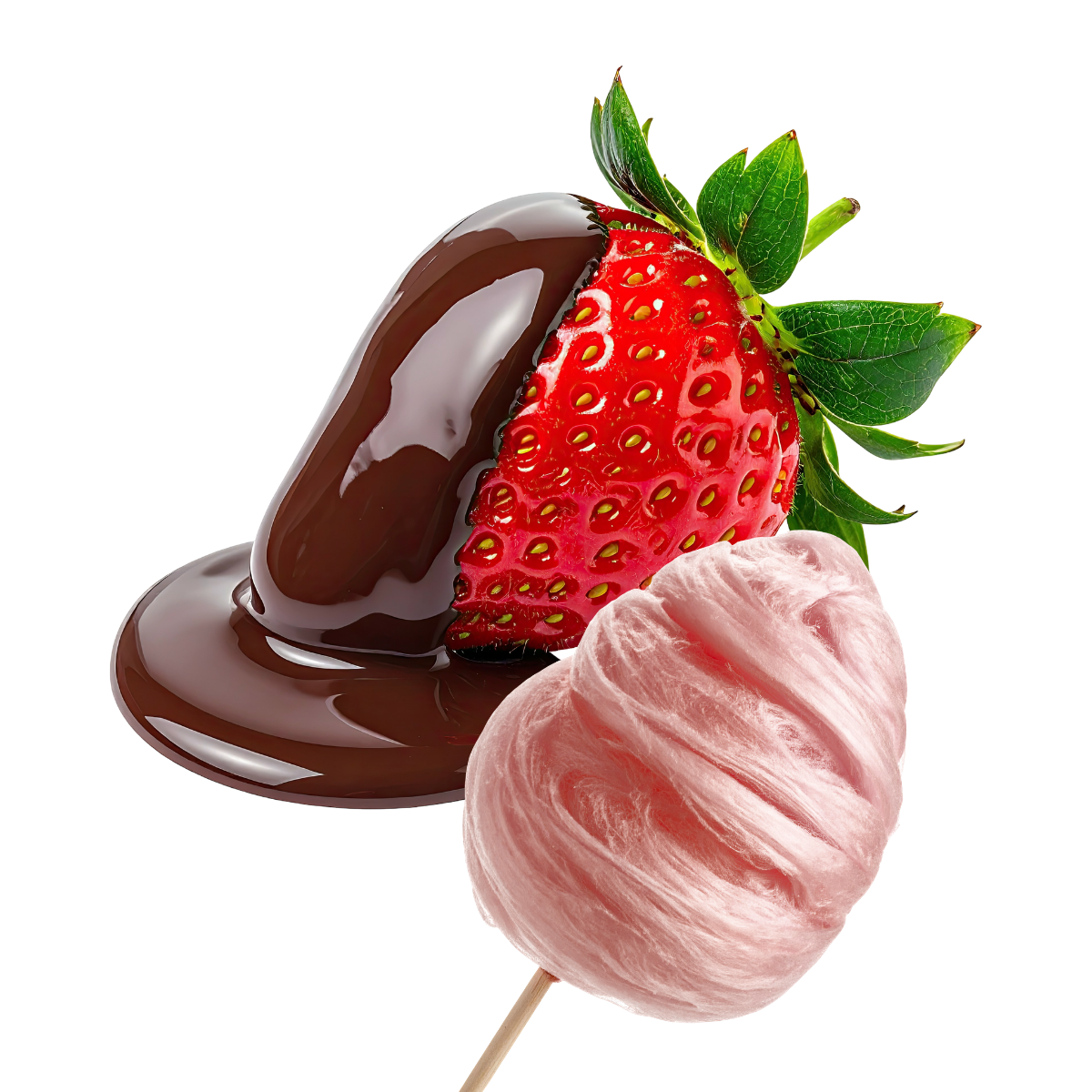 CHOCOLATE DIPPED STRAWBERRIES