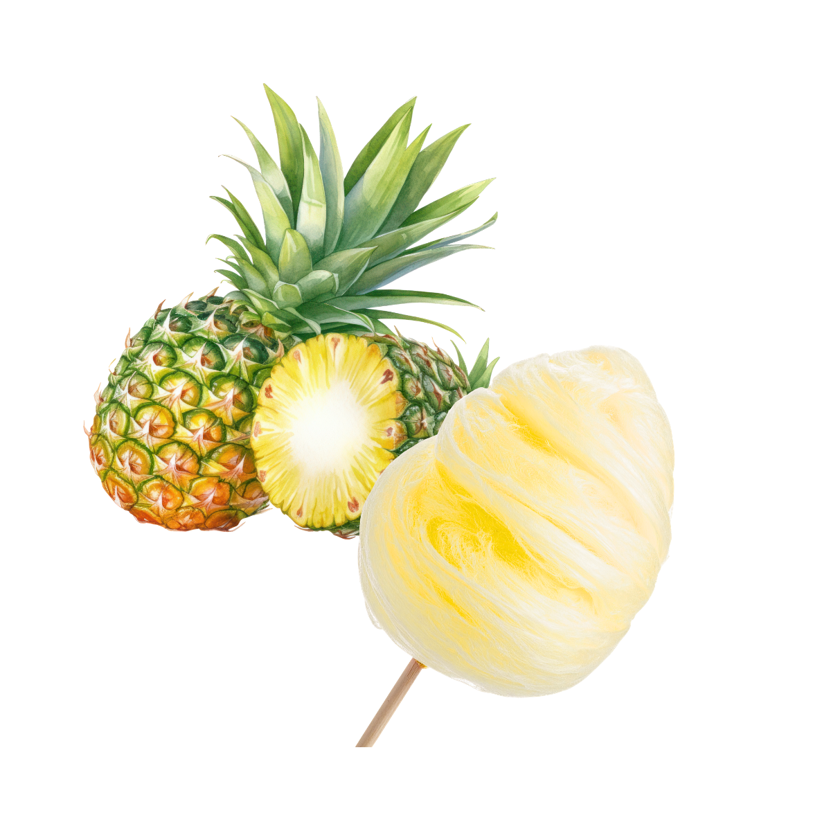 PINEAPPLE