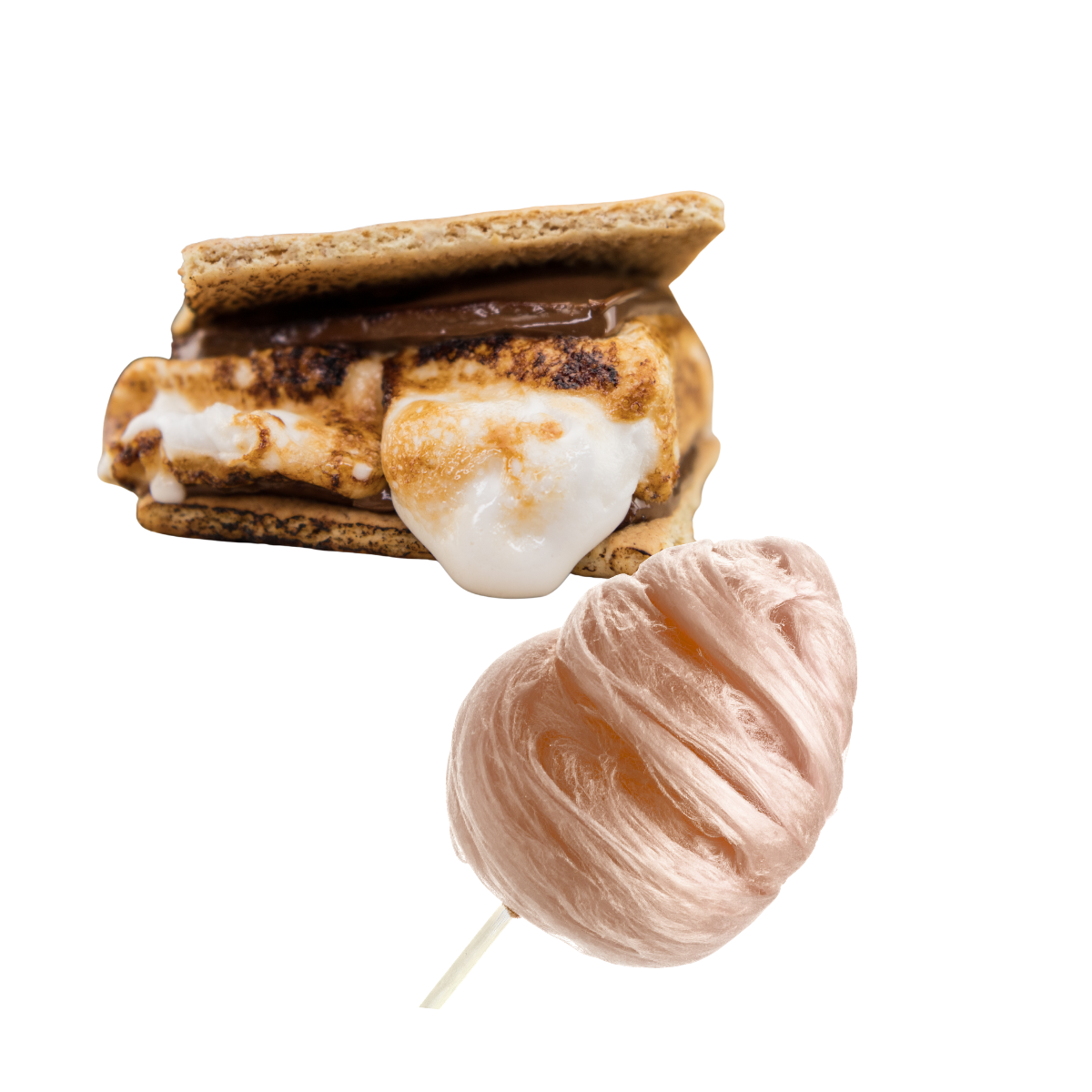 PUMPKIN S'MORES
