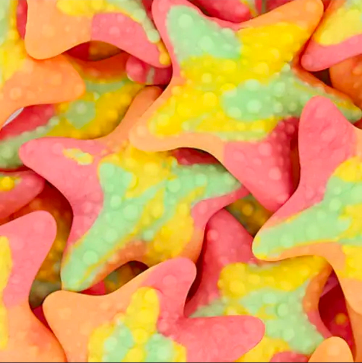 Gummy Tropical Starfish