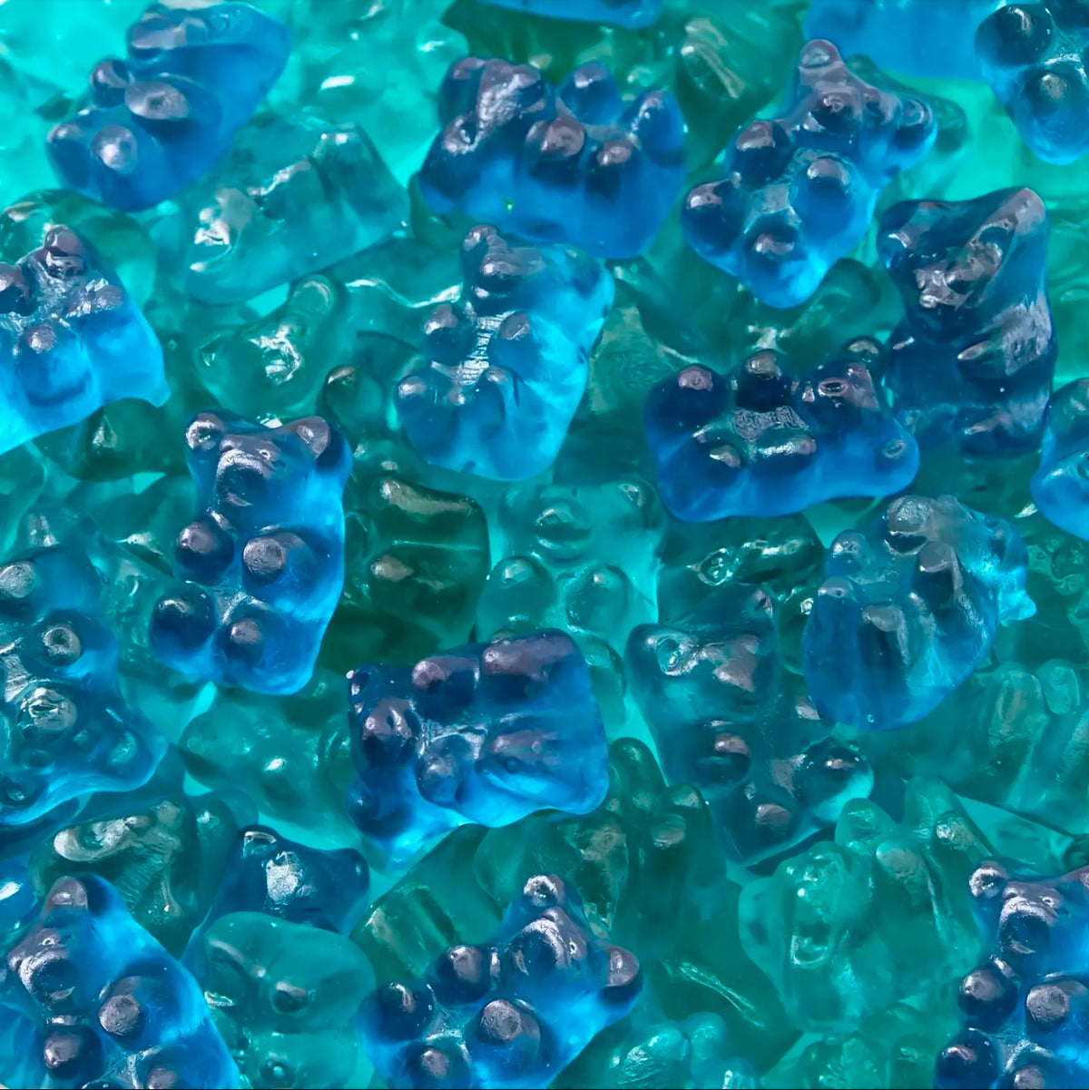 Turkish Mixed Light and Dark Blue Raspberry Bears